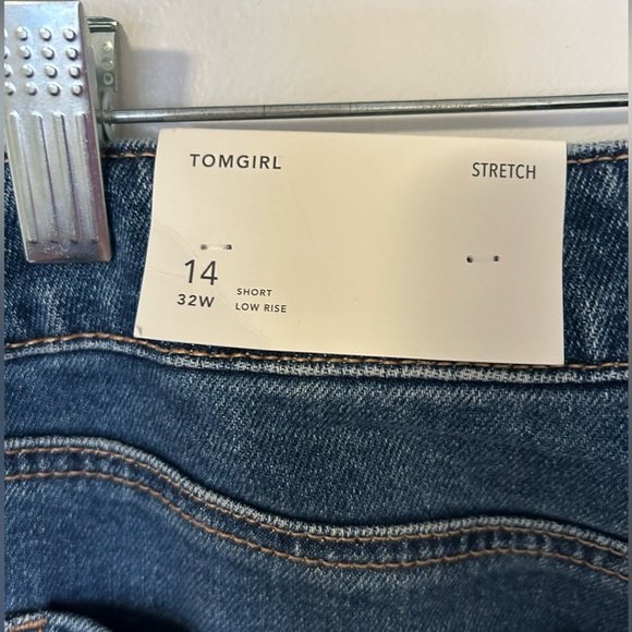 American Eagle Tomgirl Jean - Picture 4 of 5